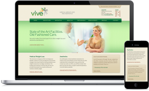 Vive Center